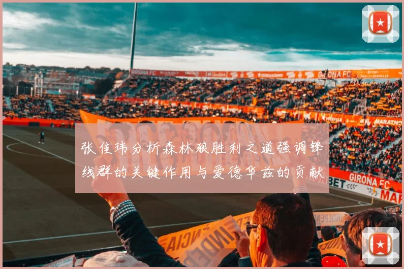 张佳玮分析森林狼胜利之道强调锋线群的关键作用与爱德华兹的贡献