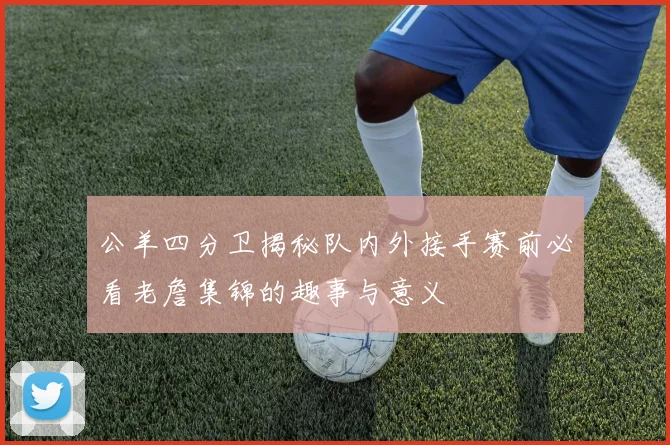 公羊四分卫揭秘队内外接手赛前必看老詹集锦的趣事与意义